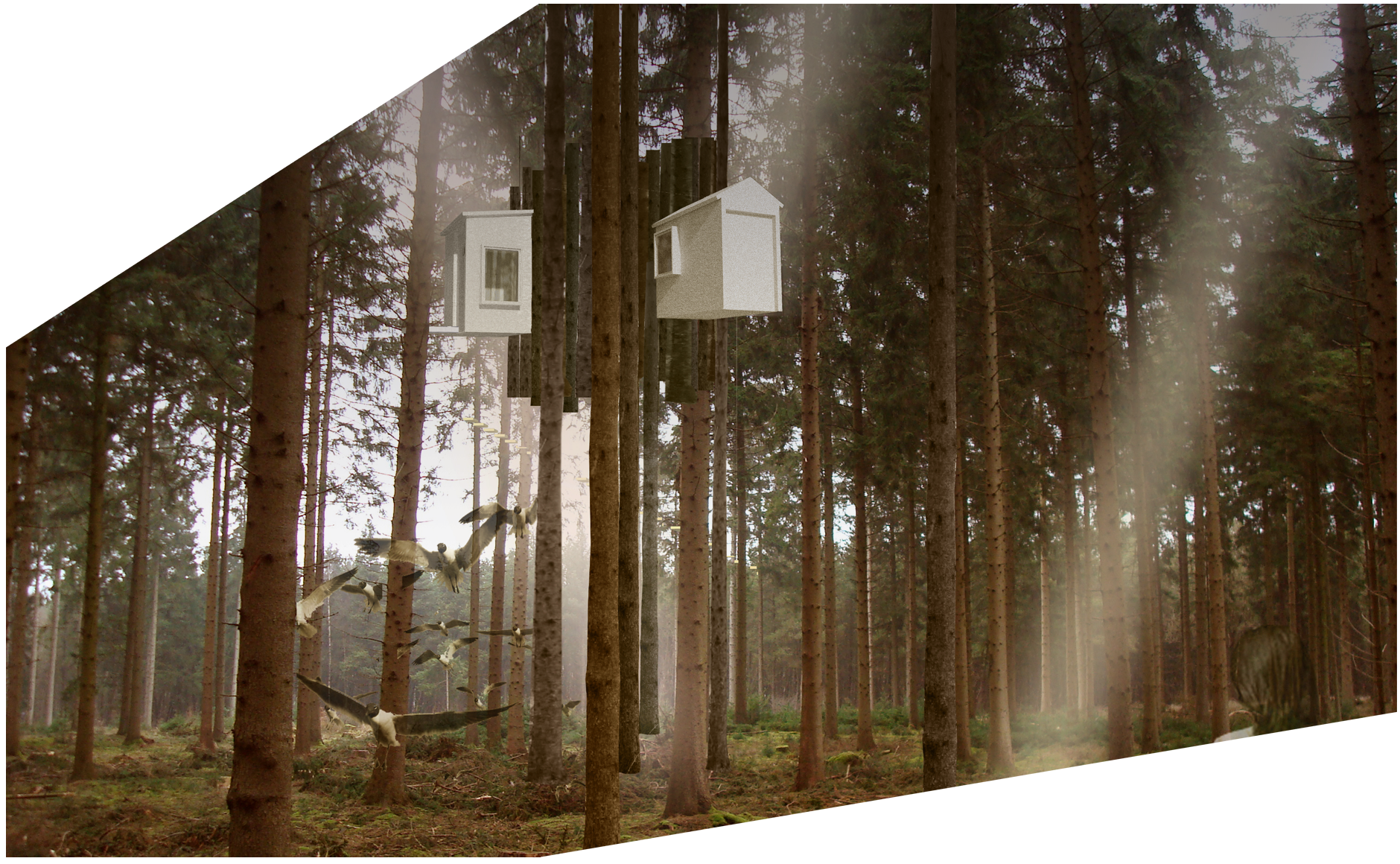 000-treehouse cutout 000-treehouse cutout