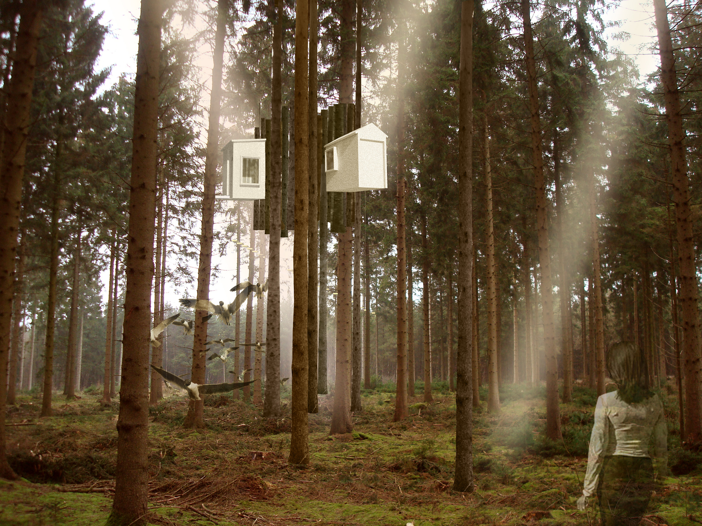 04-treehouse 04-treehouse