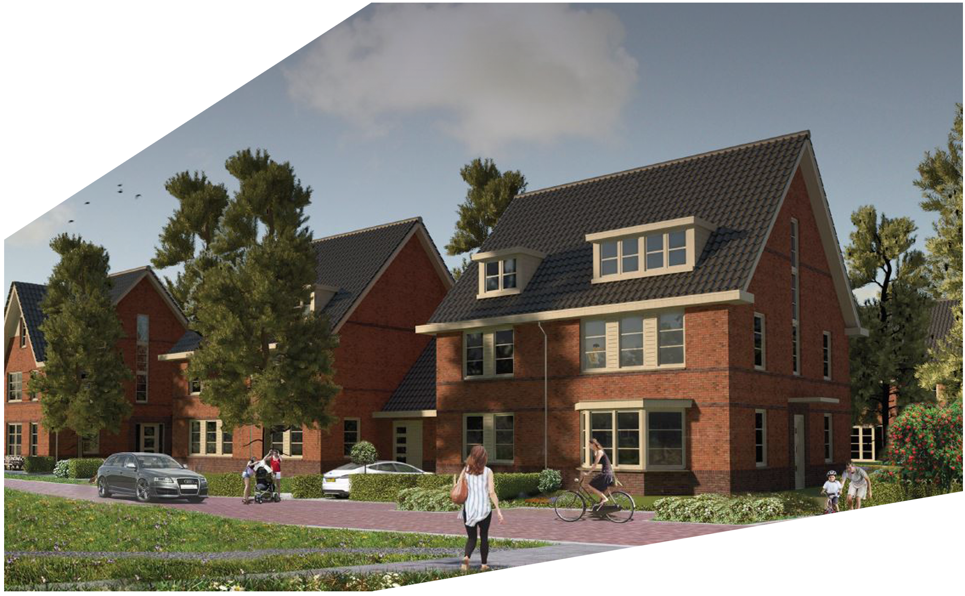 cut out groene hoogte